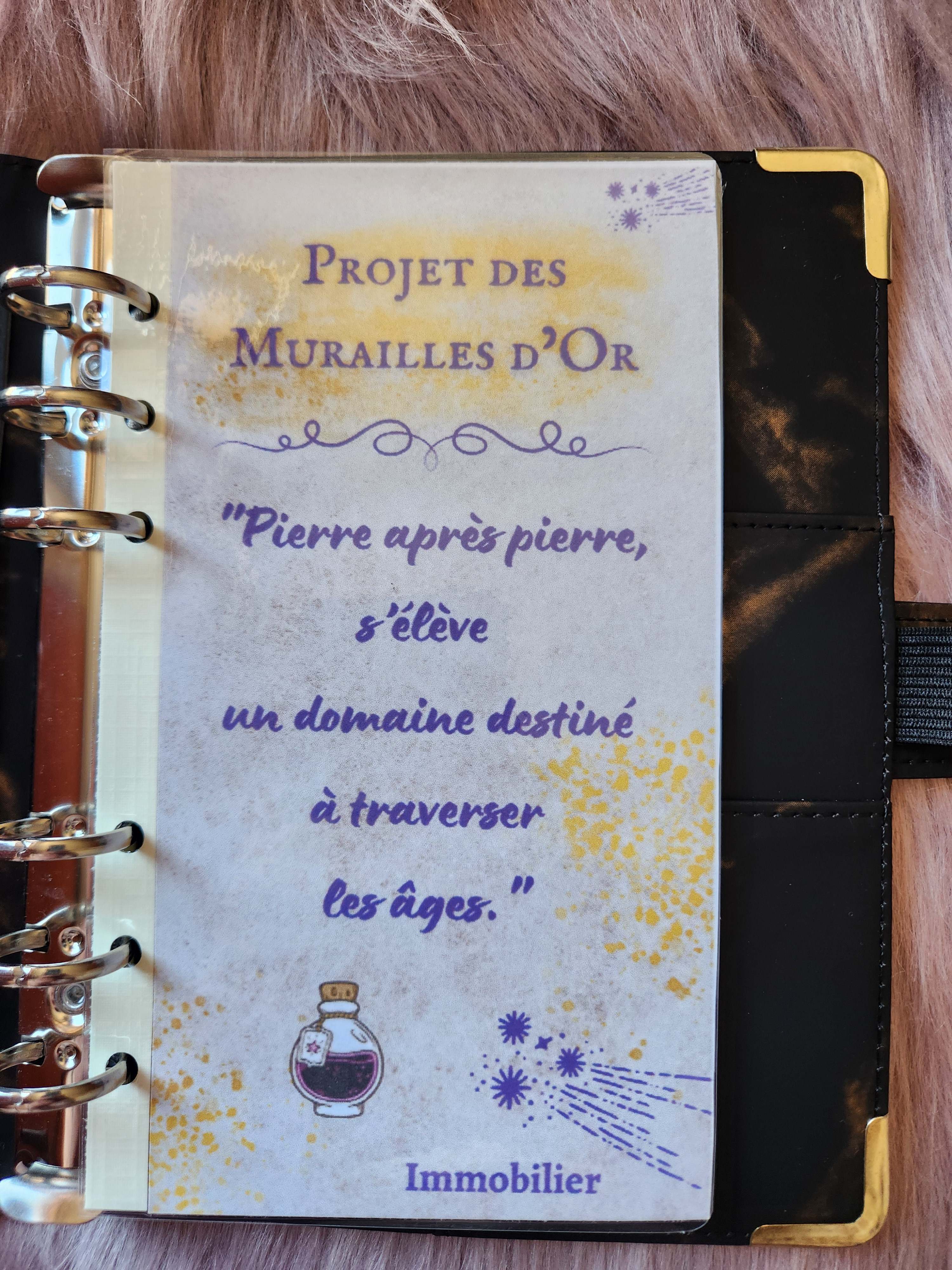 Projet des Murailles d’Or